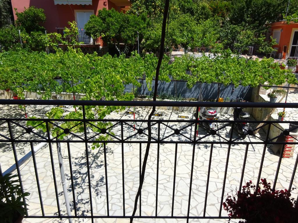 Elena Rista Studios Parga Exteriör bild