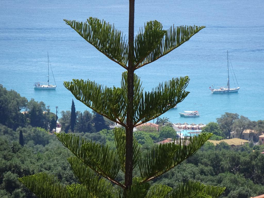 Elena Rista Studios Parga Exteriör bild