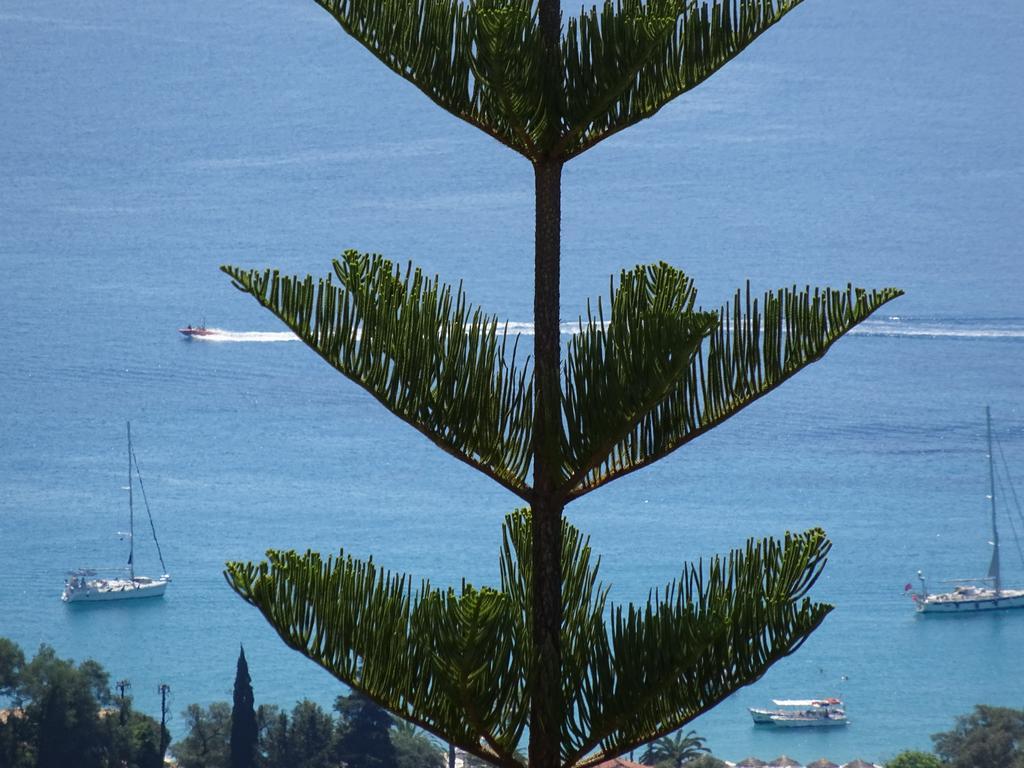 Elena Rista Studios Parga Exteriör bild