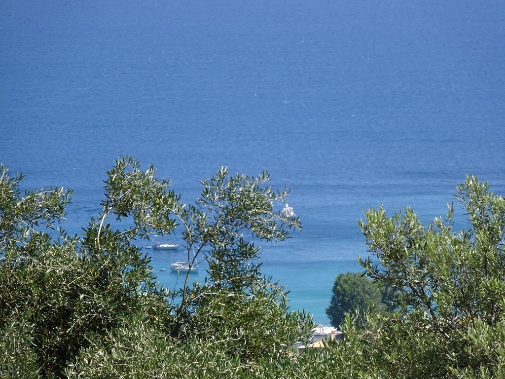 Elena Rista Studios Parga Exteriör bild